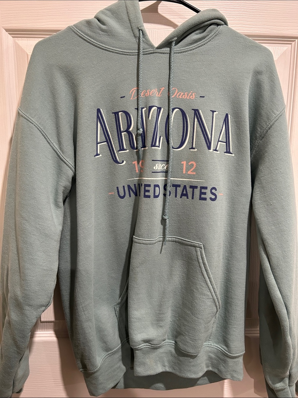 Gildan Arizona Graphic Hoodie - Sage Green